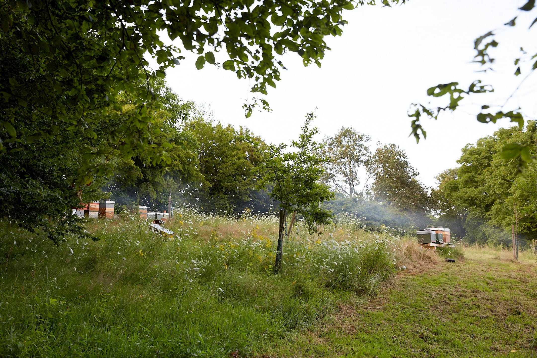 Hierher kommt man gern zurück