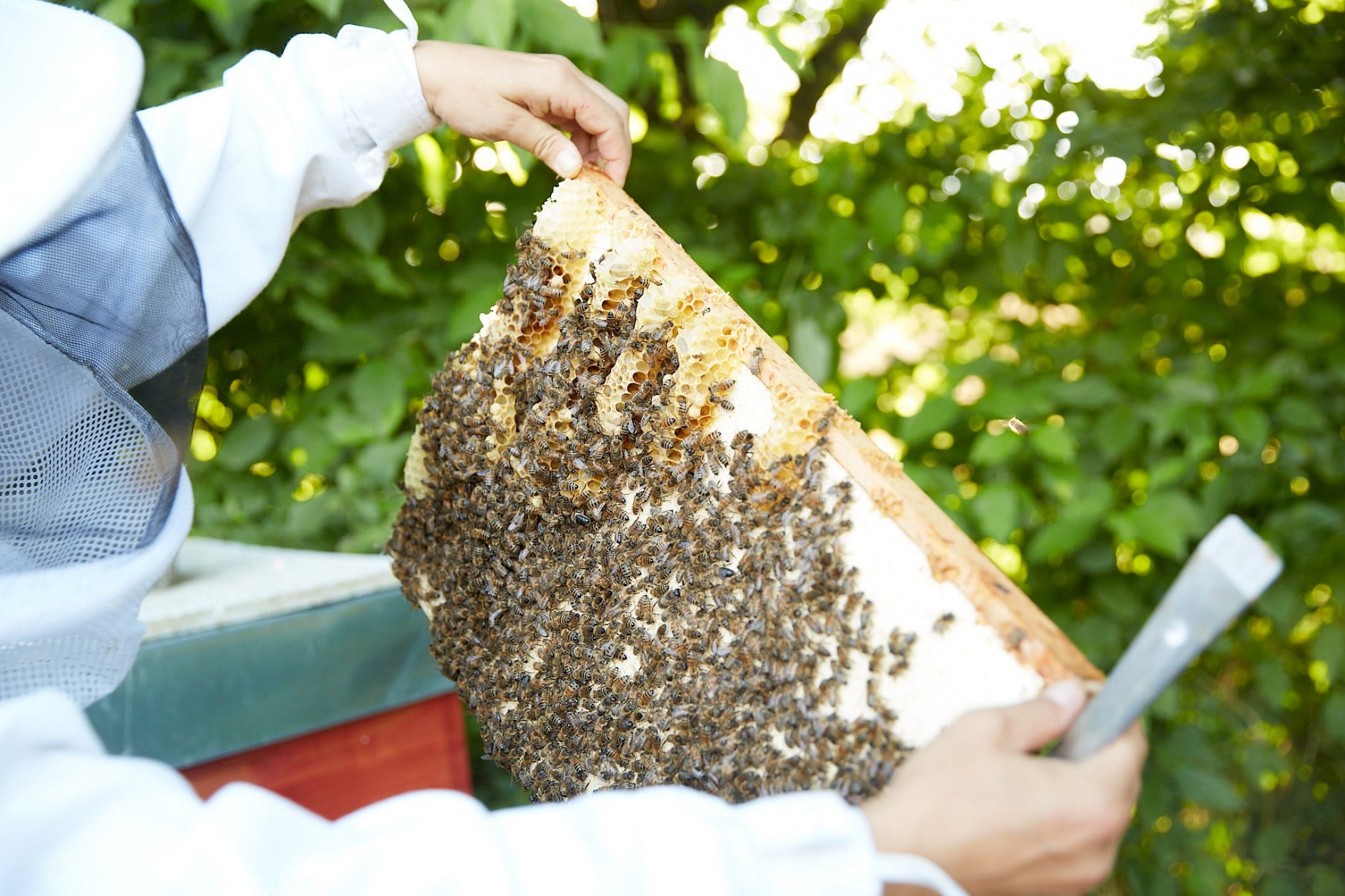 Stets das Volk im Blick
